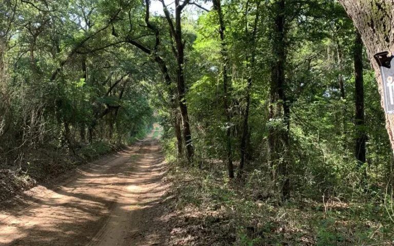 TBD HCR 1307 ROAD 2 850x530 1 768x479